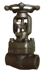 䓽ֹy